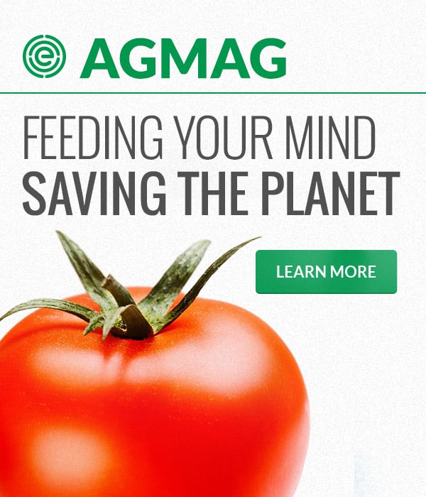 AgMag